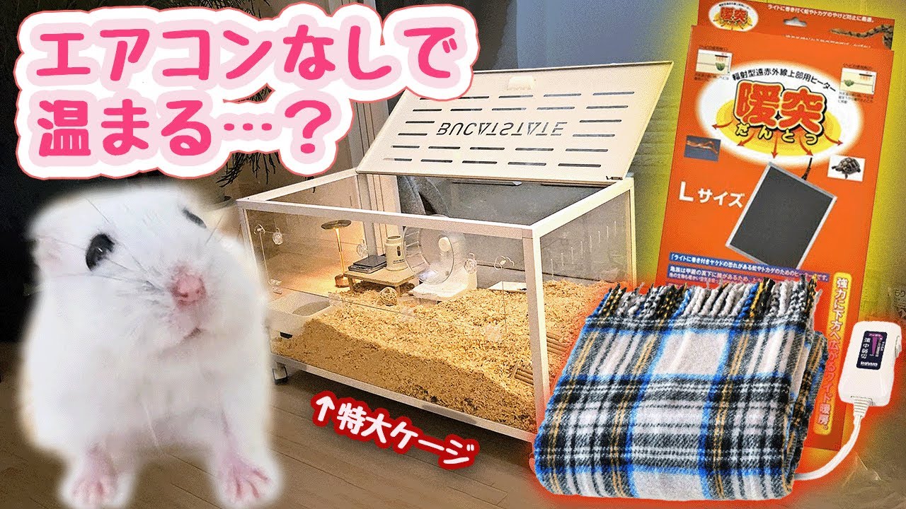 【暖房グッズ検証】エアコン無しでハムスター特大ケージは暖められる？