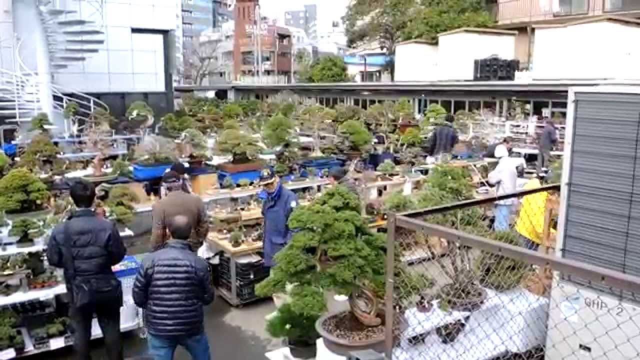 87th Kokufu-ten report #2 - Outdoor sales area