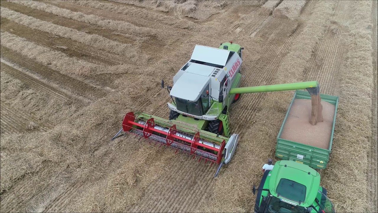 Dreschen mit einen Claas Medion 310