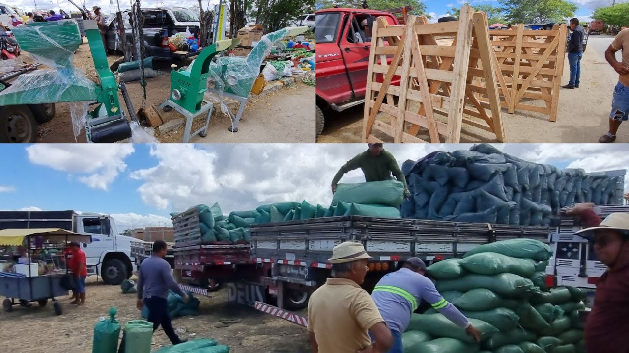 Feira da ração porteiras e acessórios em cachoeirinha-Pe 13-11-2025 maniva 13 reais 