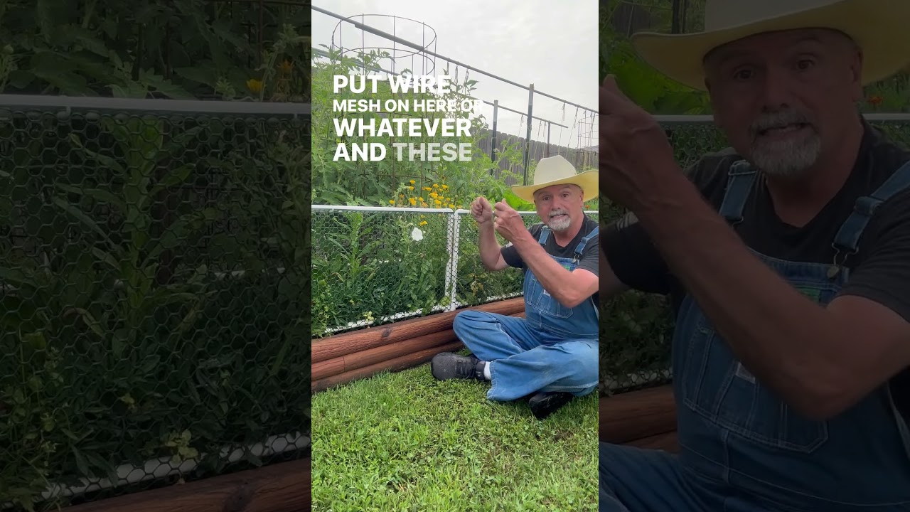 Removable Rabbit? Fence! Also keeps balls, dogs, and unwanted toddlers out 😂  #garden #pawpawridge