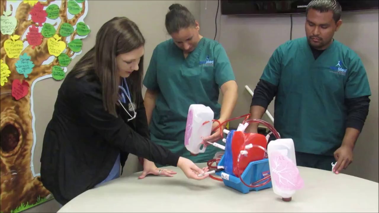 HEART OF EDUMED