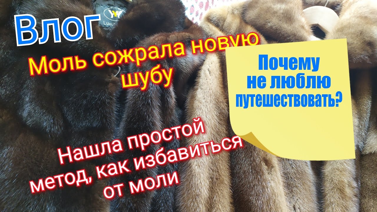 Влог/Моль больше не ест мою шубу/мои фобии...