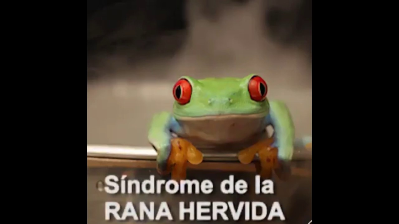 El síndrome de la rana hervida