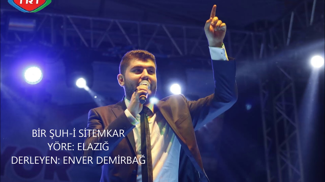 BİR ŞUH İ SİTEMKAR MEHMET ŞERİF AYDIN