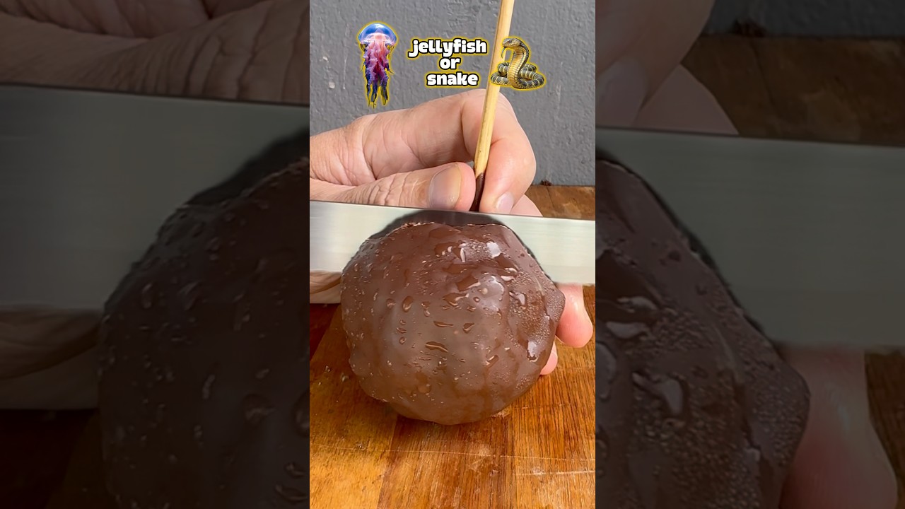 meduza lub wąż #asmr #szorty