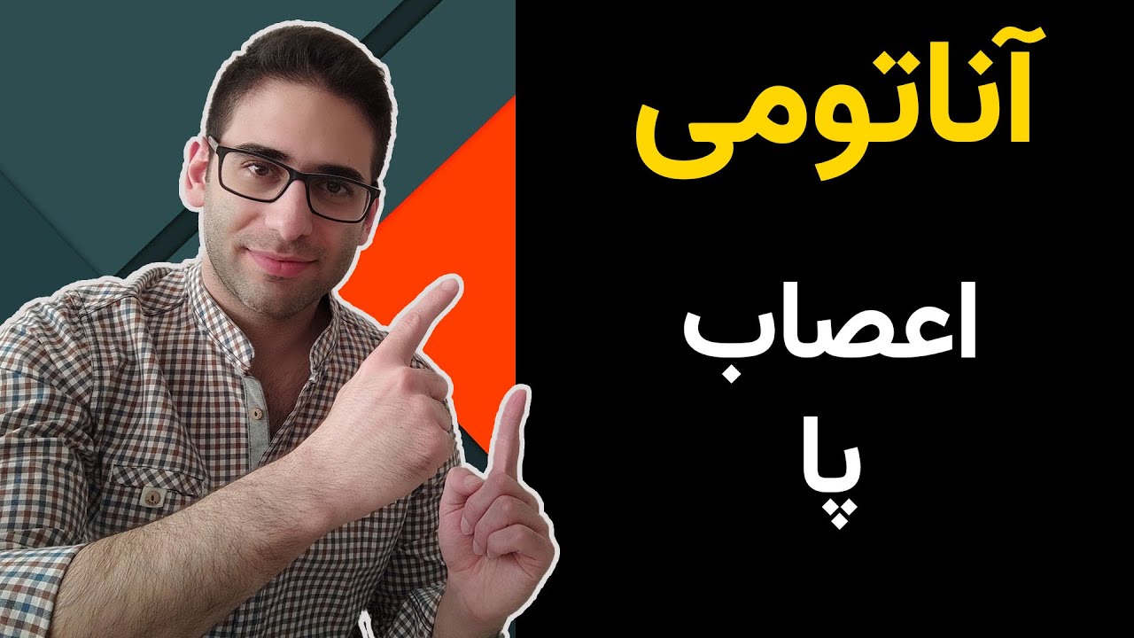 آناتومی اعصاب پا