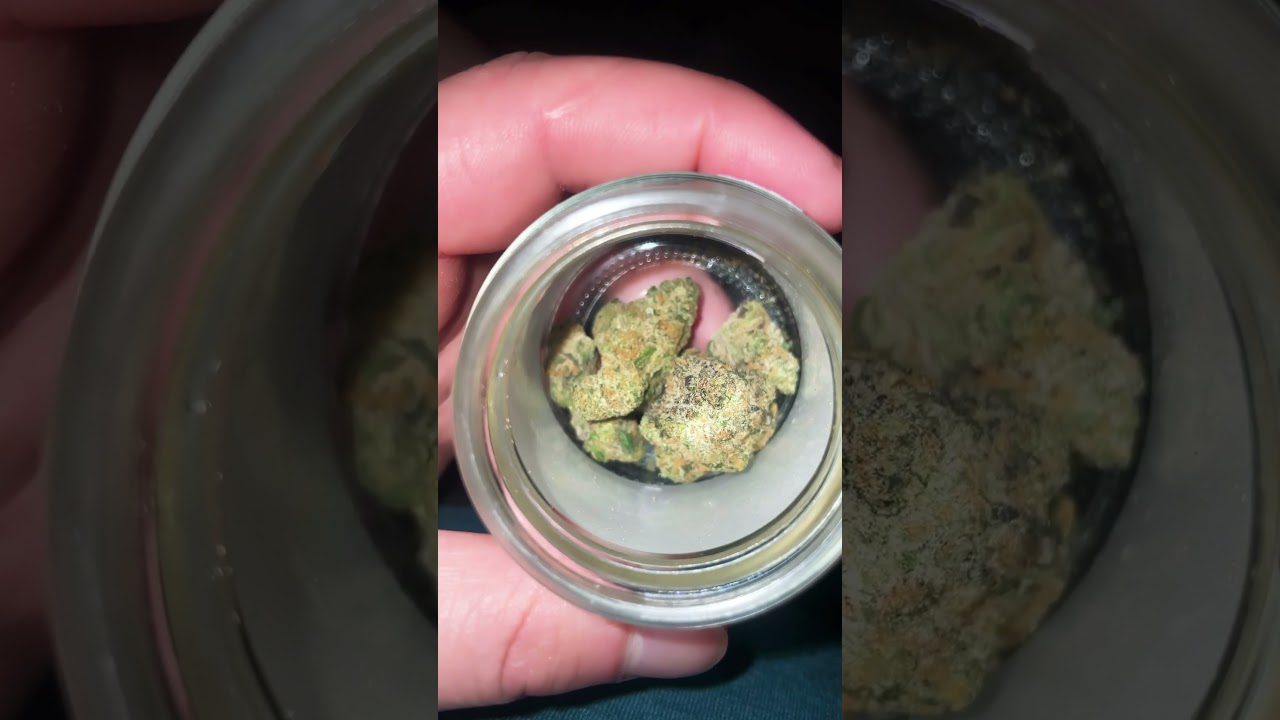 Strain close up: Grape Cookies 🍇 🍪