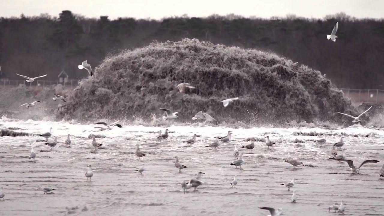 Køge Kyst anlægger ny strand i Køge