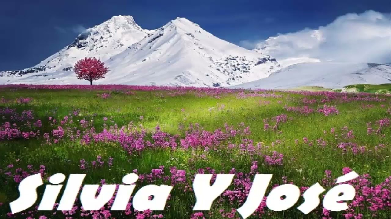 Silvia Y José  -  Sólo Por Amor