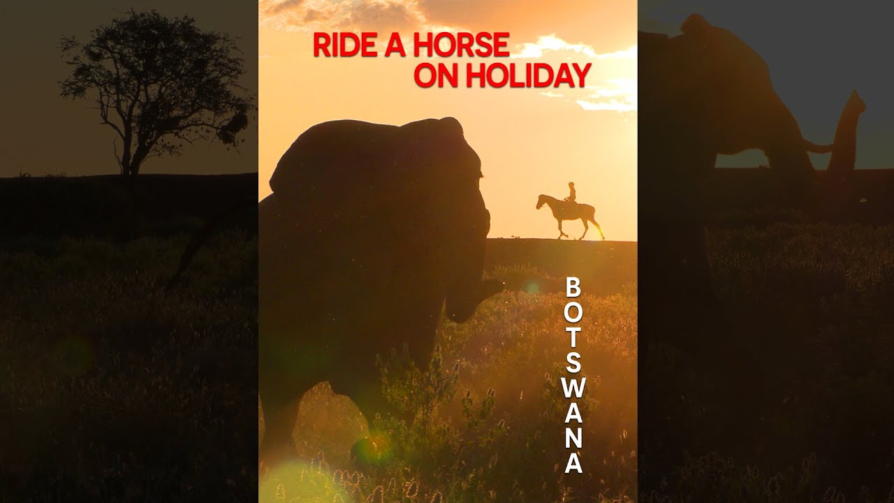 Where to go horse riding on holiday? Best place to ride in the world? Ride with elephant. #Shorts