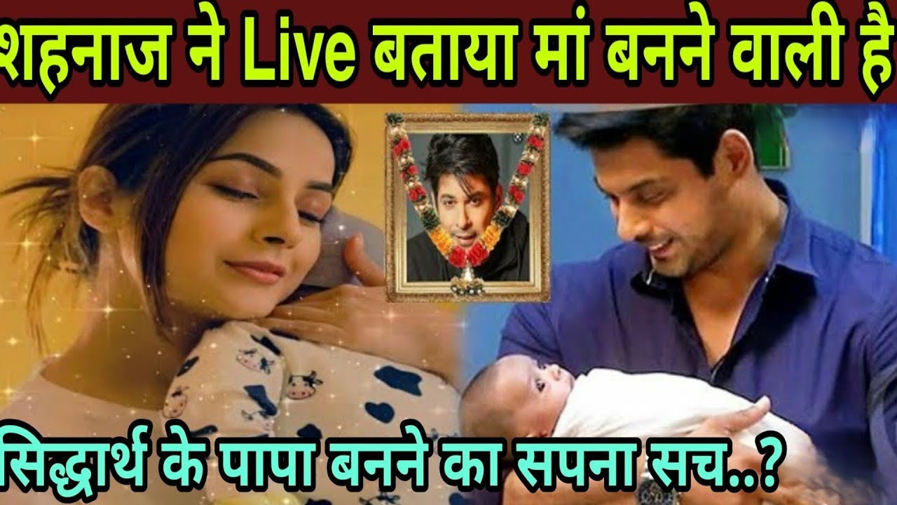 Live TV पर शहनाज ने कुबूला मां बनने का सच..? छोटे सिद्धार्थ का इंतेजार..? 4 महीने की प्रेगनेंट हैं.?