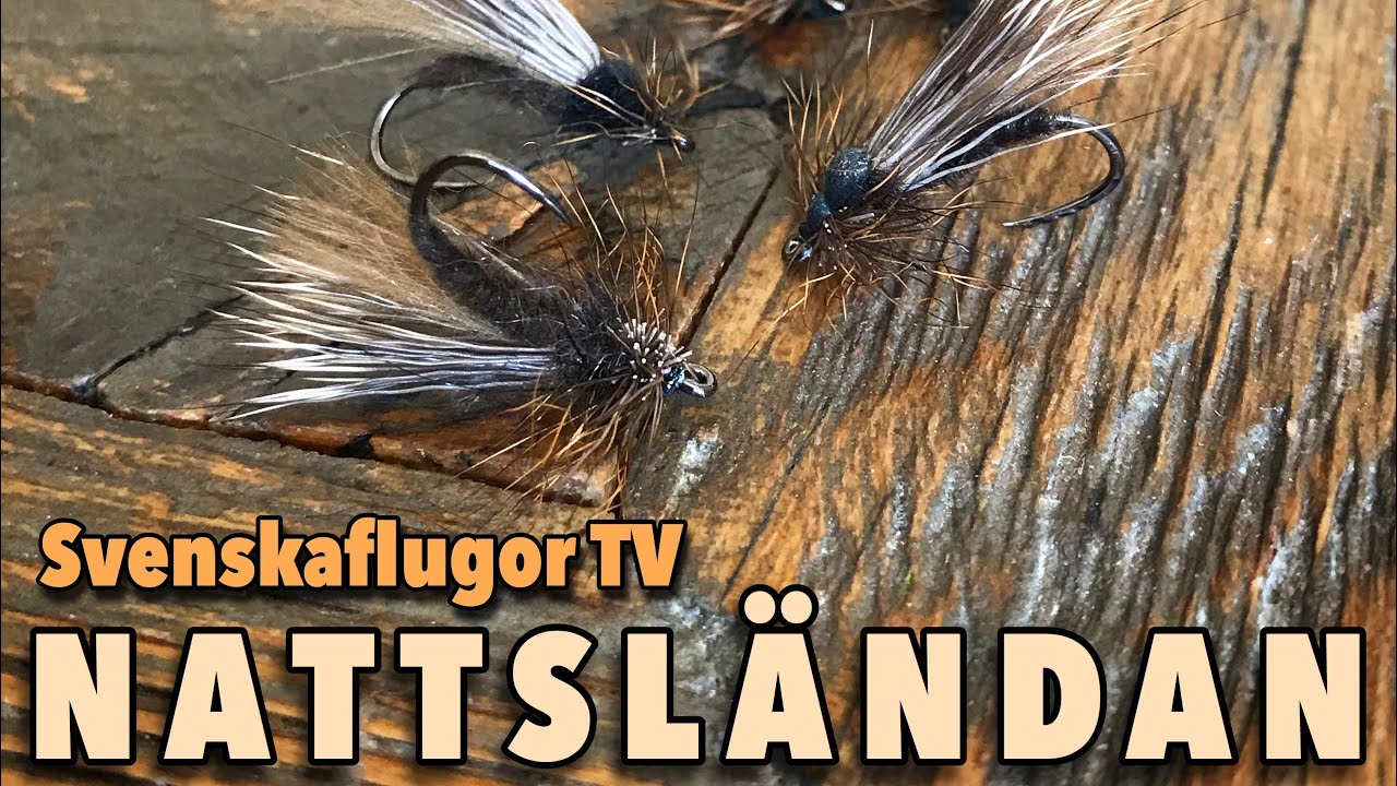 Nattslända | Flugbindning | Svenskaflugor