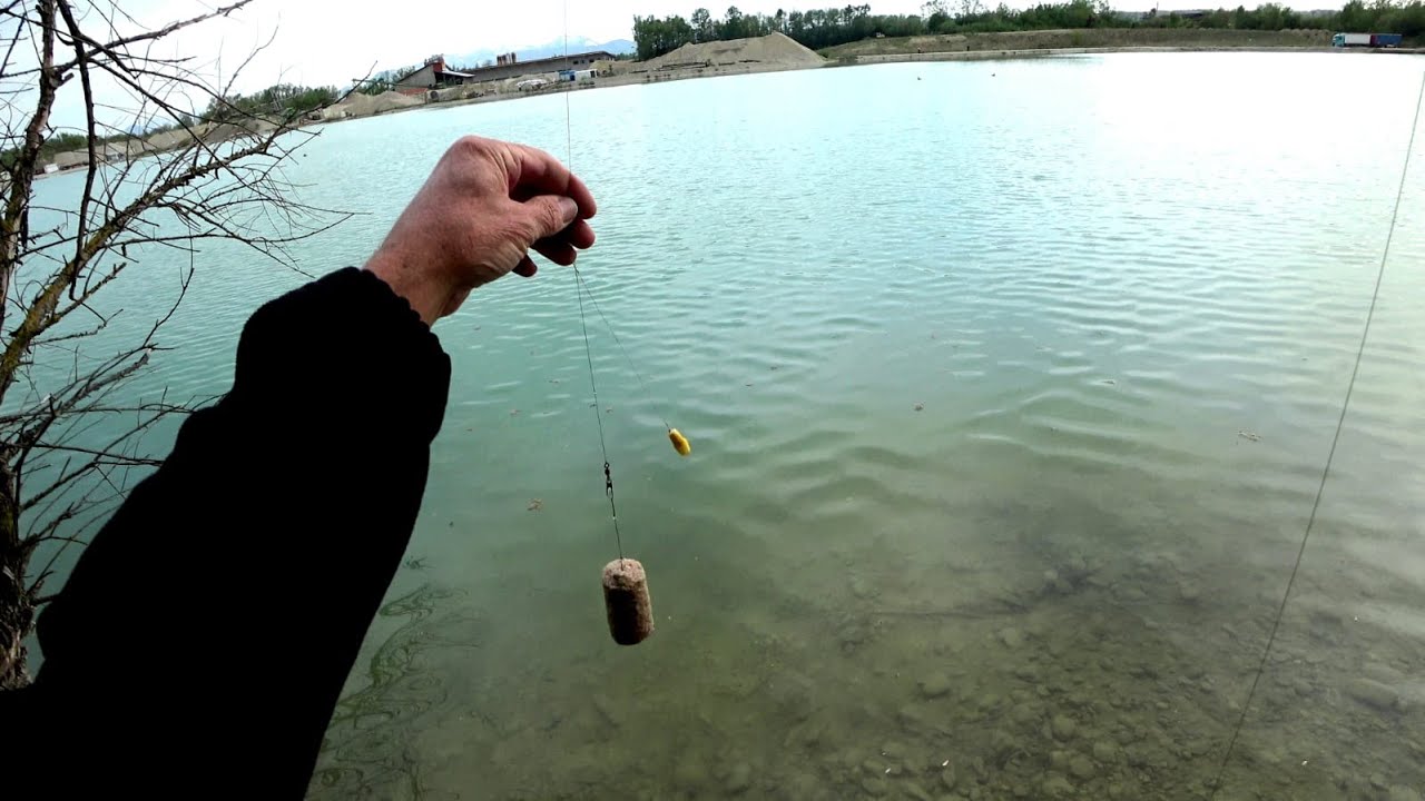 Mit Feederruten und Premium Keks auf Karpfen und Wei&szlig;fische angeln