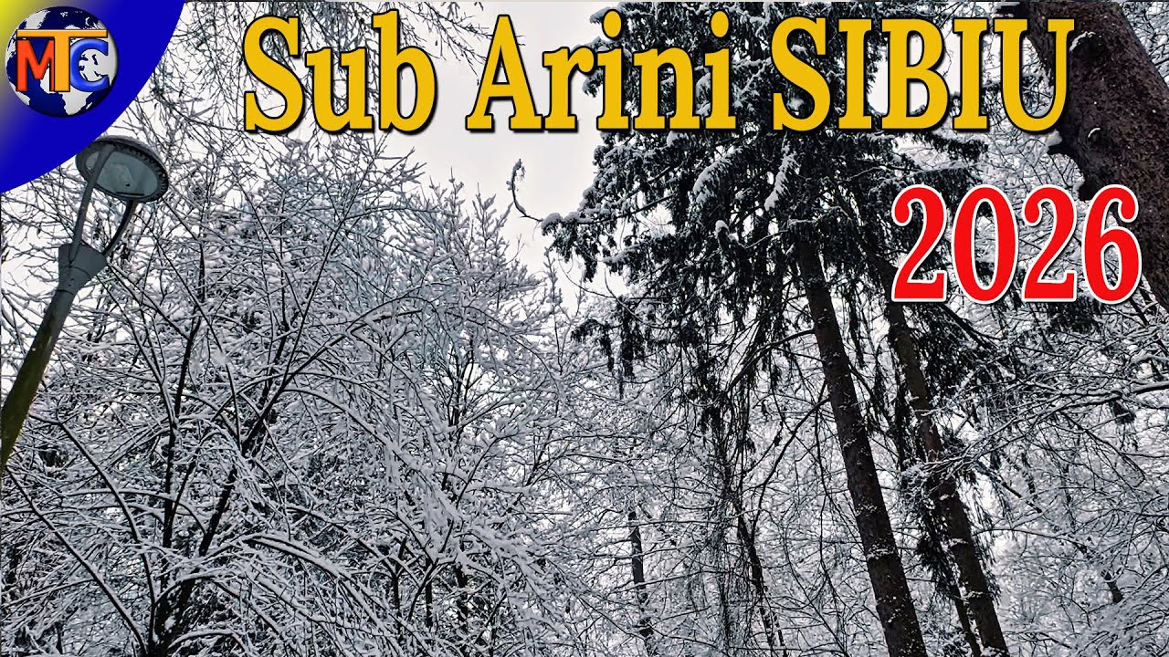 Iarnă de Basm în Parcul Sub Arini: O Meditație Cinematică în Alb