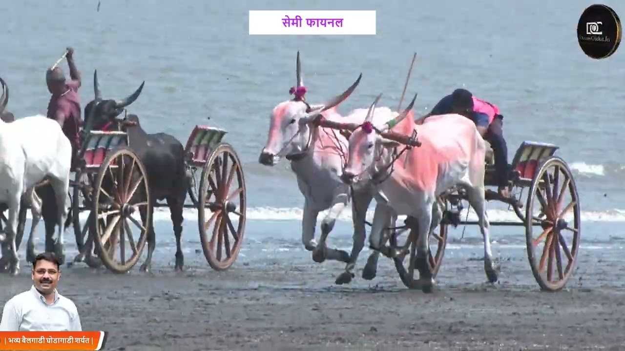 सेमी  फायनल | | आद्य अमित नाईक स्मृती प्रतिष्ठान पुरस्कृत | भव्य बैलगाडी घोडागाडी शर्यत |