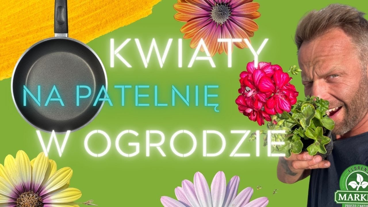 KWIATY OGRODOWE NA SŁONECZNE TARASY☀ Rośliny odporne na suszę🔥