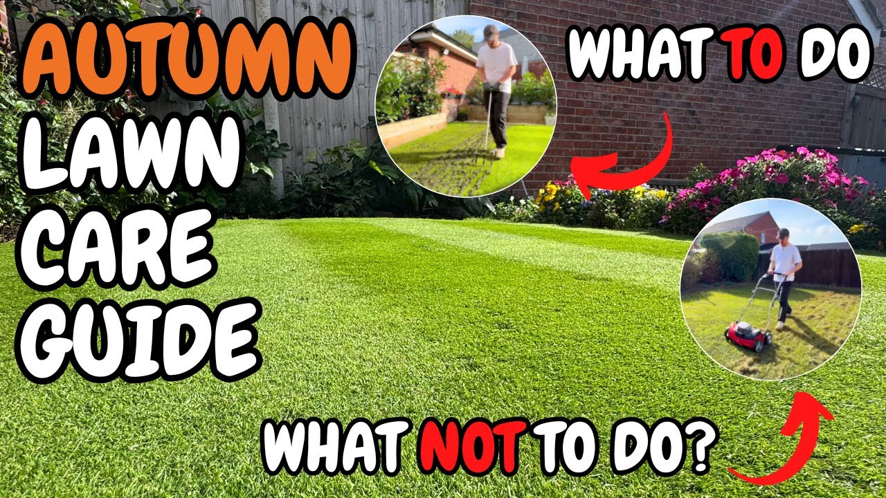 A Complete Guide to Autumn Lawn Care - What To Do, What Not To Do