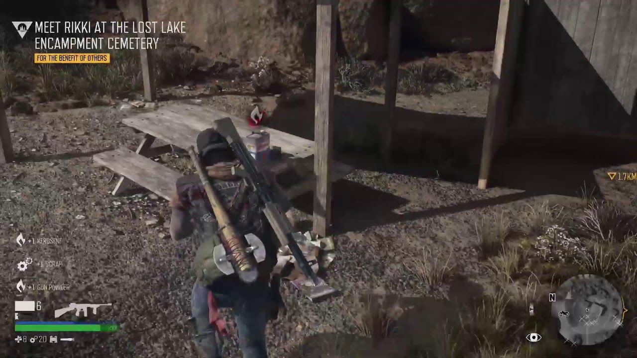 Horde Killed Days Gone Remastered PS5  Pro
