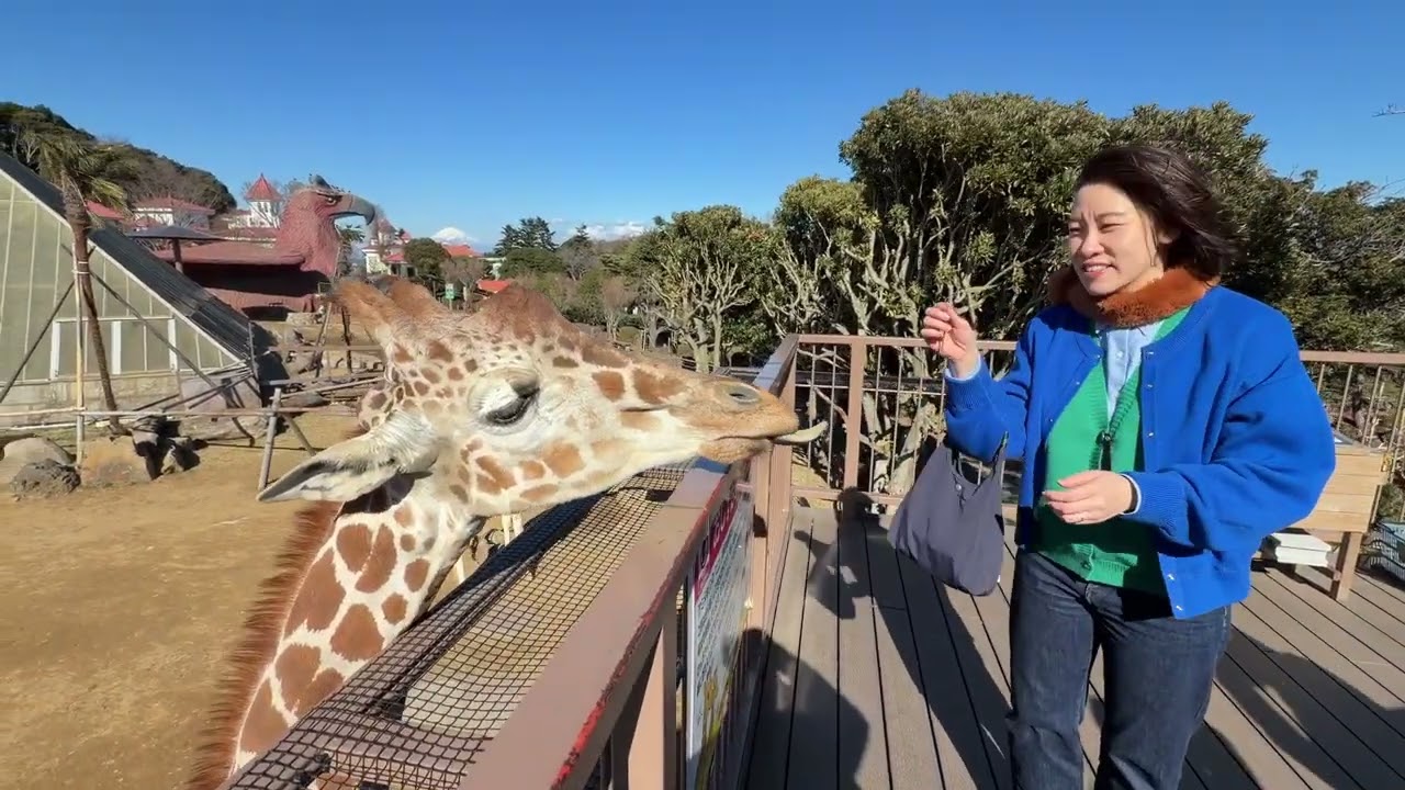2026 日本伊豆仙人掌動物園