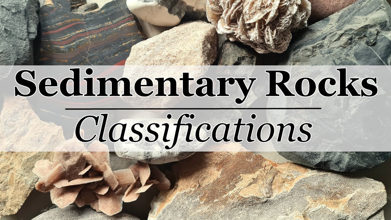 Sedimentary Rocks || Classifications