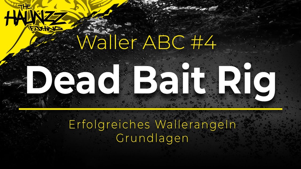 WALLER ABC | Das DEAD BAIT RIG | Wallermontage