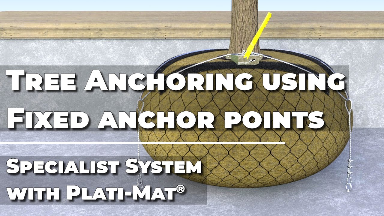 Tree anchoring using pre-installed anchor points - Specialist Fixing System with Plati-Mat