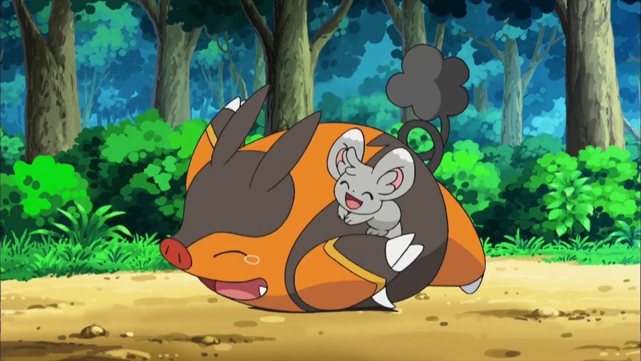 Minccino Tickles Pignite - Pokemon Black & White