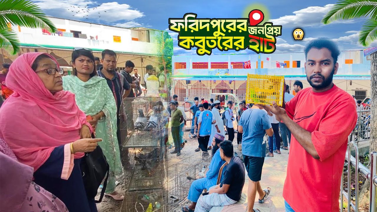 🕊️ ফরিদপুর হাটে লাখ টাকার কবুতর! দেখে সবাই অবাক 😲 | Rare Pigeon Race | Raj Vlog