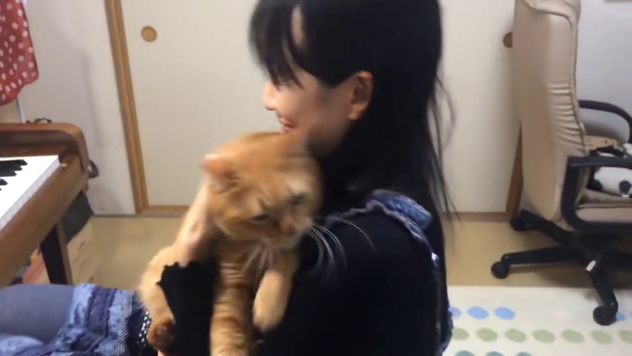 Кот мешает пианистке разучивать Шопена (