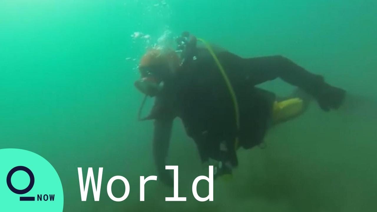 Japan Tsunami 2011: Diver Searches For Missing Loved Ones in Miyagi
