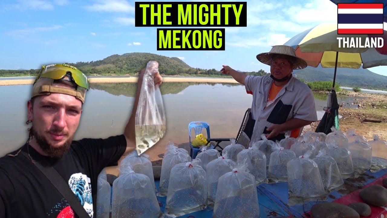 Making Merit On The Mekong In Chiang Khan | Loei Thailand 🇹🇭
