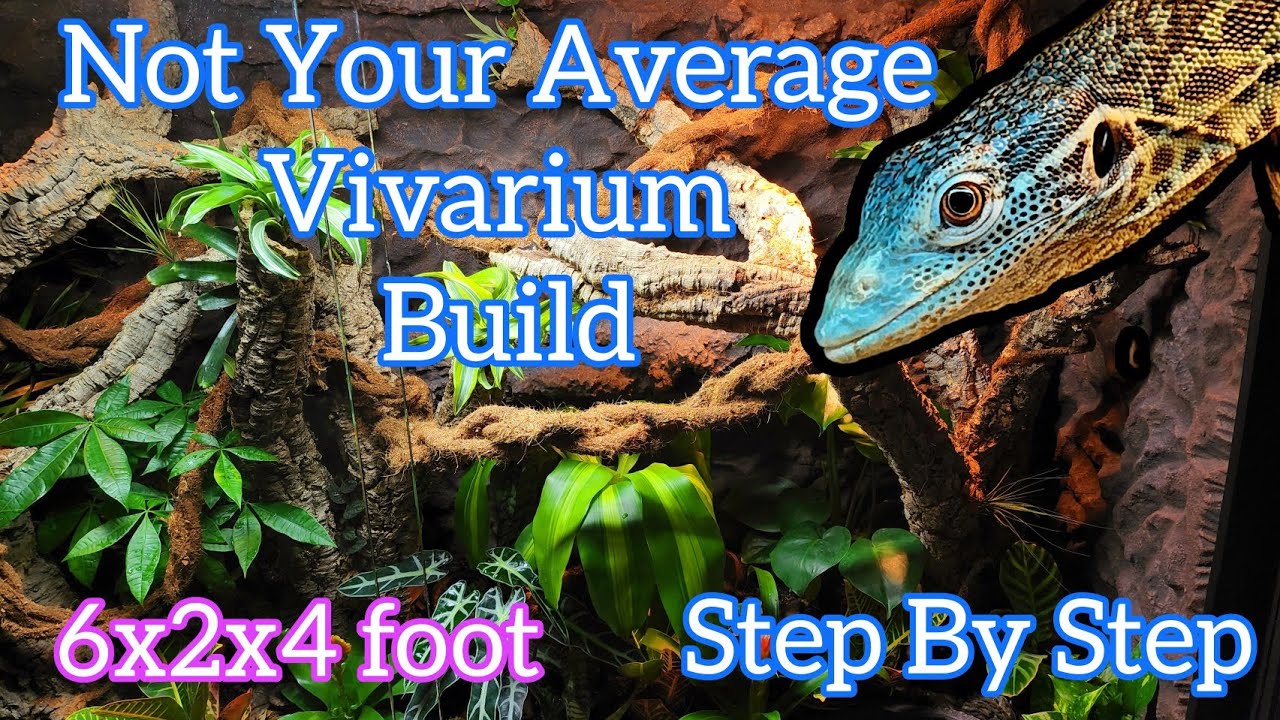 How To Build a Vivarium & DIY Bioactive Enclosure