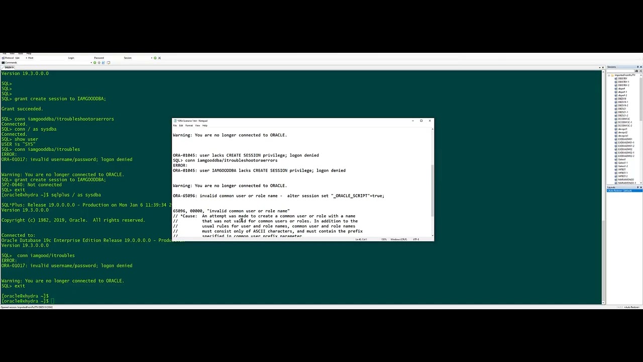 ORA-01031, ORA-01017, ORA-01045, ORA-65096, SP2-0640 -  Troubleshoot Oracle errors