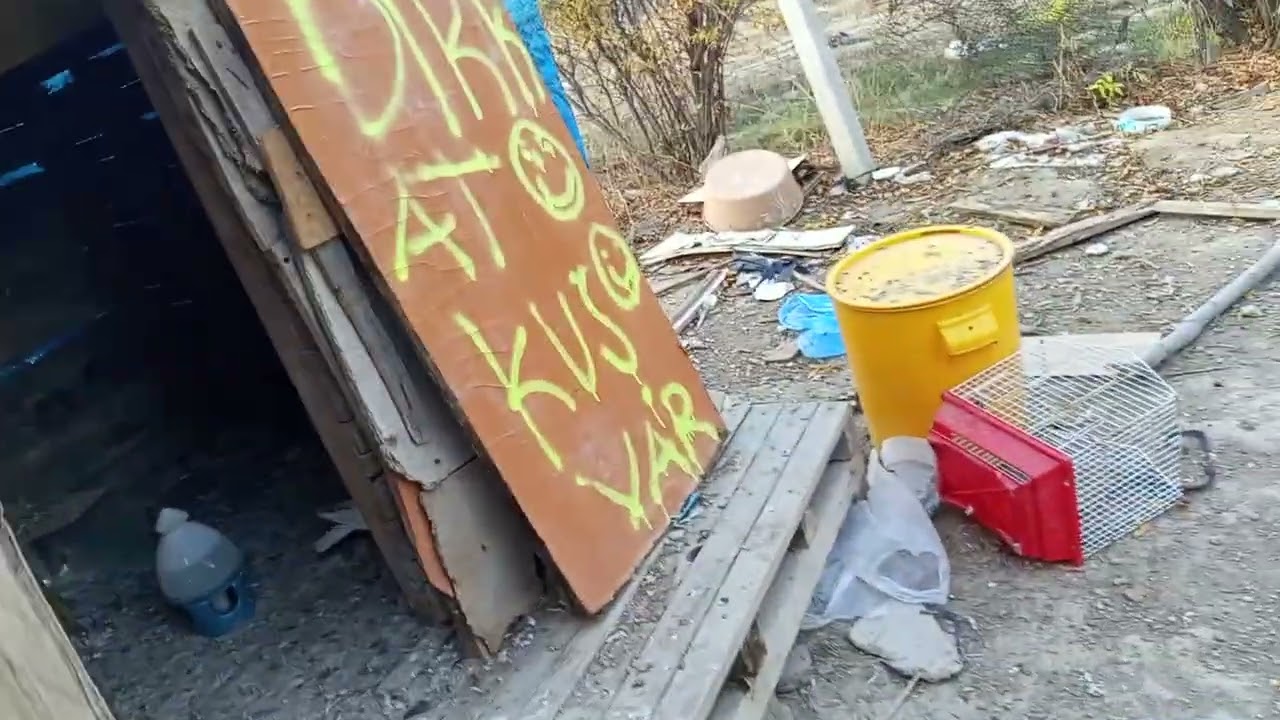 arkadaşlar nasıl sınız