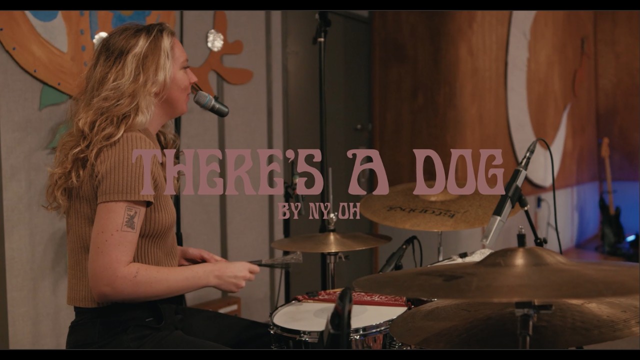 There's A Dog, Live at Anotherland Studios