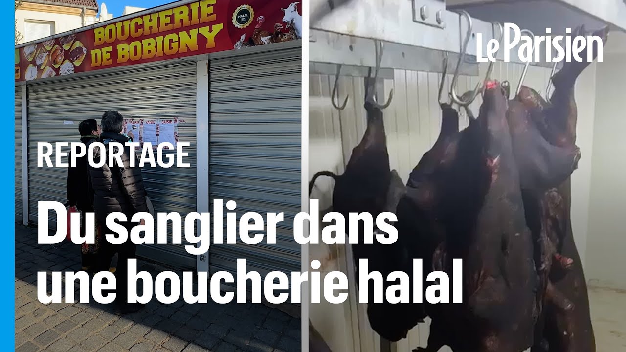 « On n’est pas respectés ! » : des sangliers retrouvés dans une boucherie halal du 93