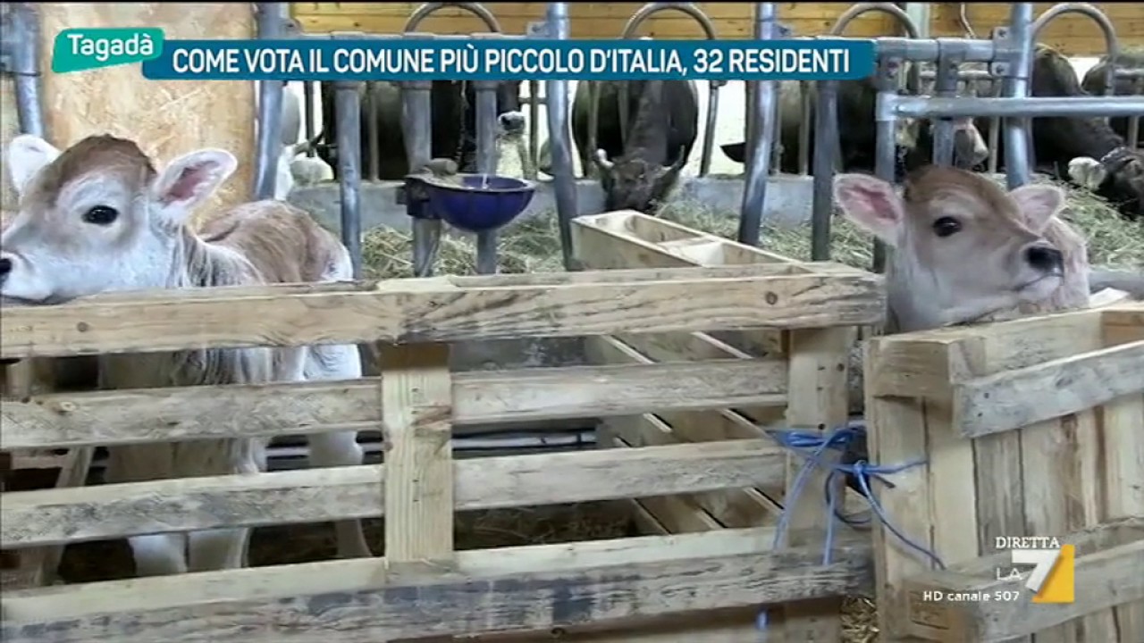 Come vota il comune più piccolo d'Italia