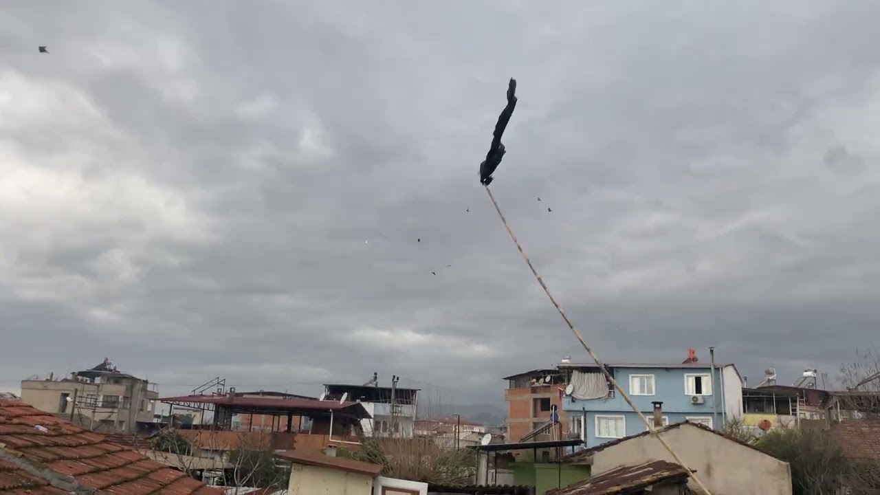Taklacı antreman uçum