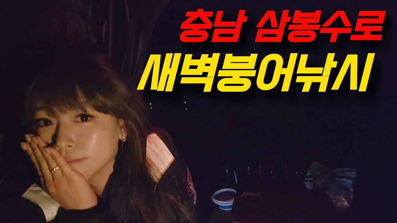 ‼️‼️충남 당진 붕어 낚시🎣 오전장 같이 하시죠❤️❤️낚시는안다다 라이브 스트리밍 중🔥