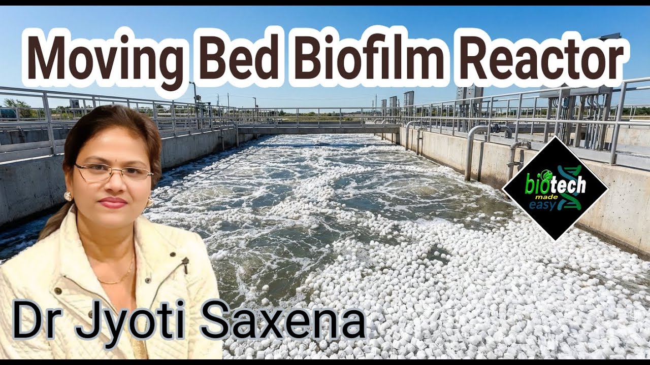 MBBR | Moving Bed Biofilm reactor | Wastewater treatment | Biotech Made Easy | Microbiology |Biotech