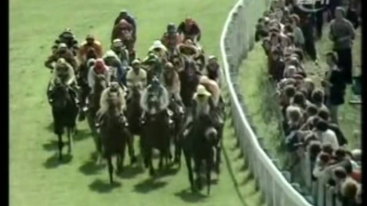 1977 Epsom Derby The Minstrel