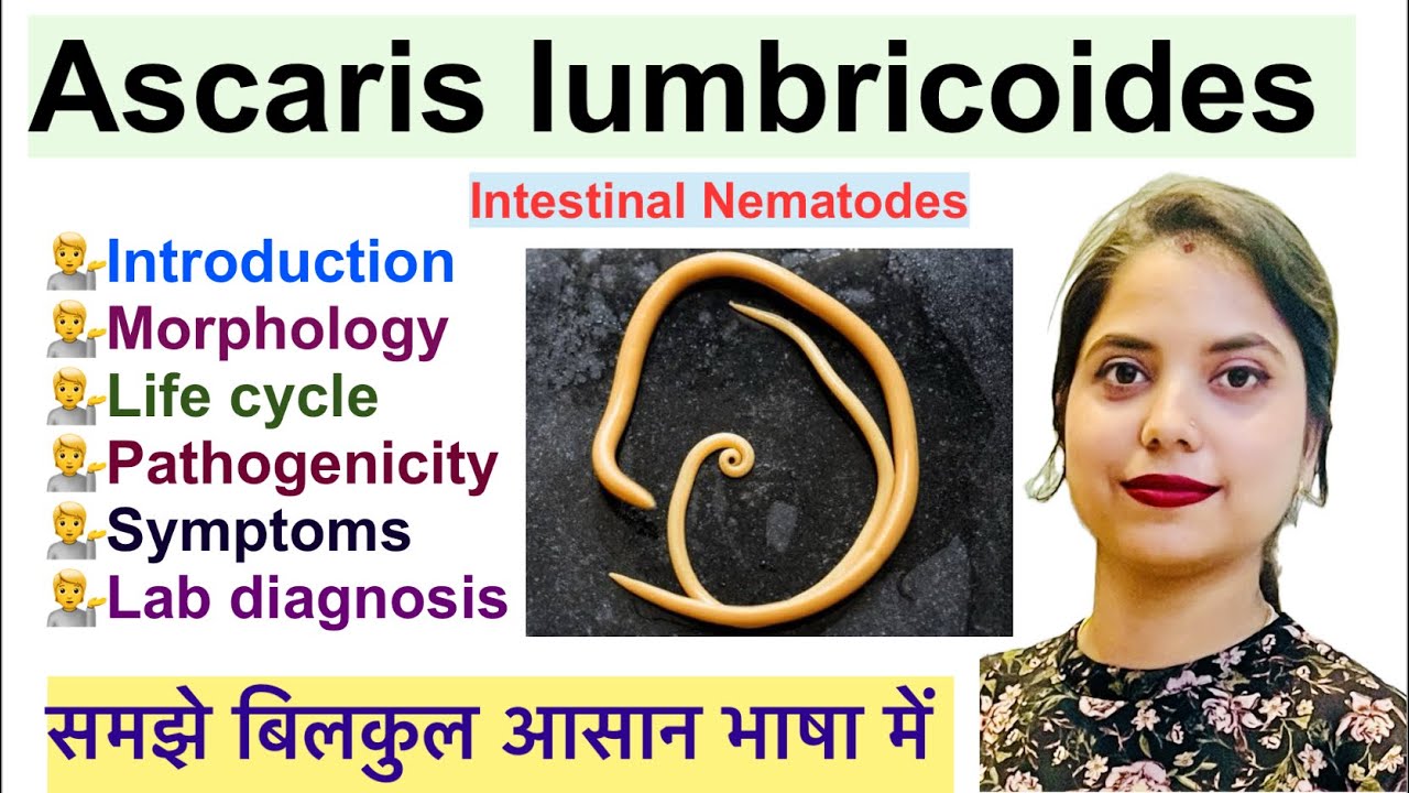 Ascaris lumbricoides in Hindi | Intestinal Nematodes | Life cycle | Pathogenicity | Lab diagnosis