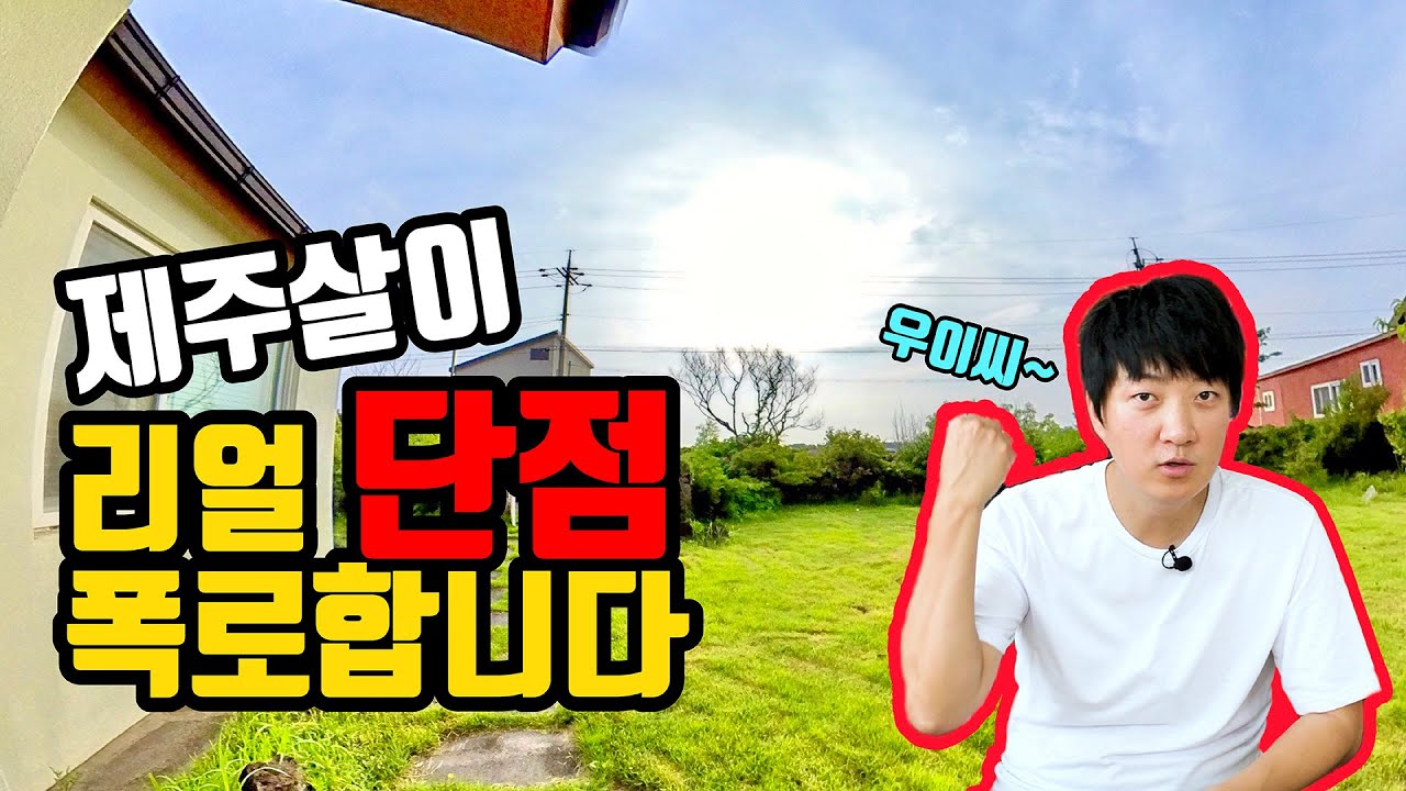 제주살이 리얼한 단점 폭로합니다! 2년차 도민으로써 느낀 제주도의 본모습