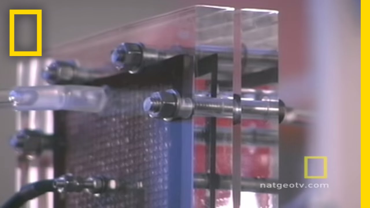 Fuel Cells | National Geographic