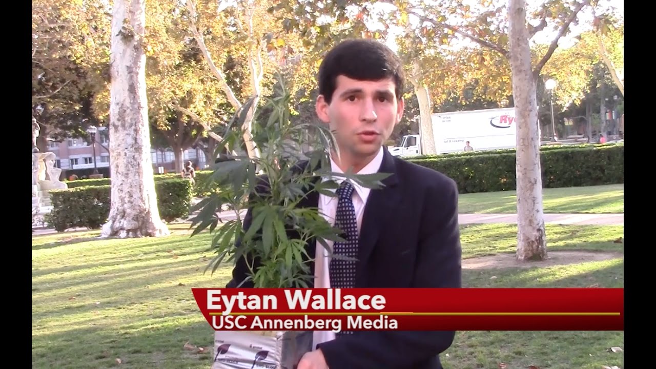 California Proposition 64 -- "Adult Use of Marijuana Act" -- Eytan Wallace Reports