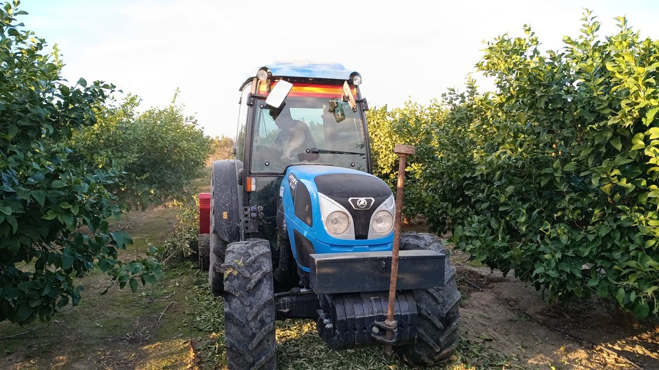triturando ramas  trituradora cavasola tractor 90cv