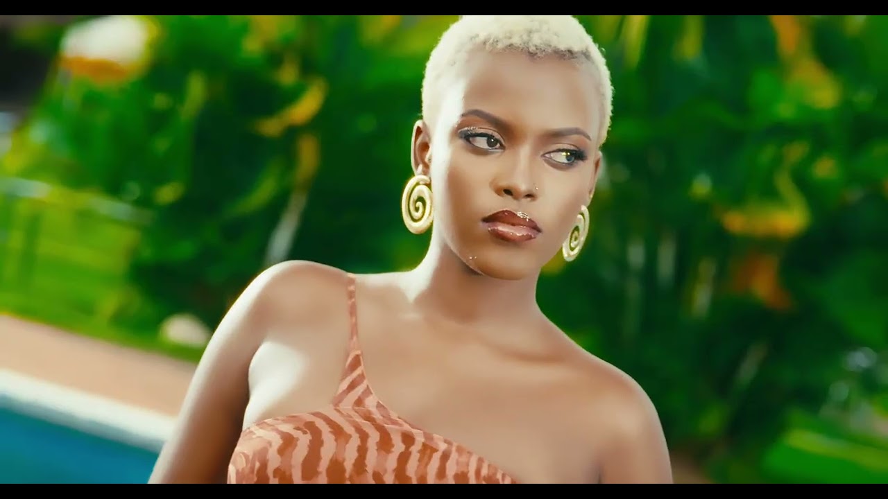 Wizden - Fine Lady ft Chris MB (Official music video)