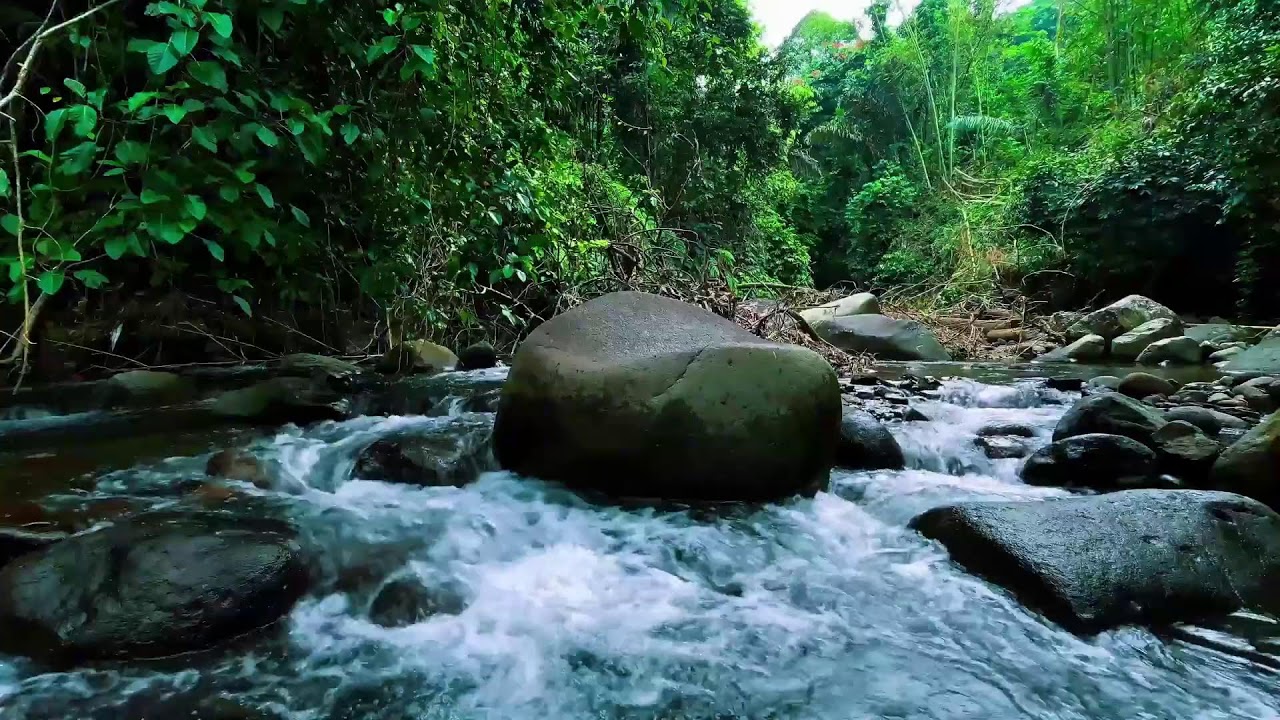 Calming River Sounds for Deep Sleep 💧 Relaxing Water Ambience for Sleeping & Study