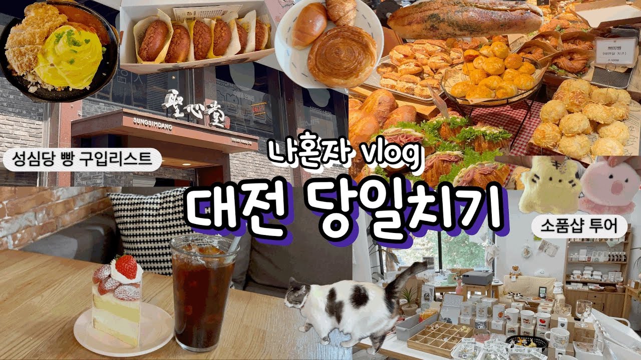 [VLOG] 나혼자 대전 당일치기 여행🚗 | 성심당 본점 | 샌드위치정거장 | 성심당 케익부티끄 | 대전 소품샵 | 프렐류드 | 빵 맛집 | 테라스키친 | 대전 맛집👍